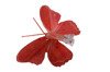 Motyl dekoracyjny na zapince kolor czerwony